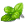 menthe menthe